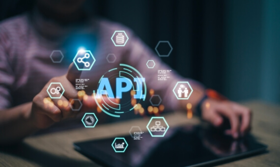 ELCS Banking API